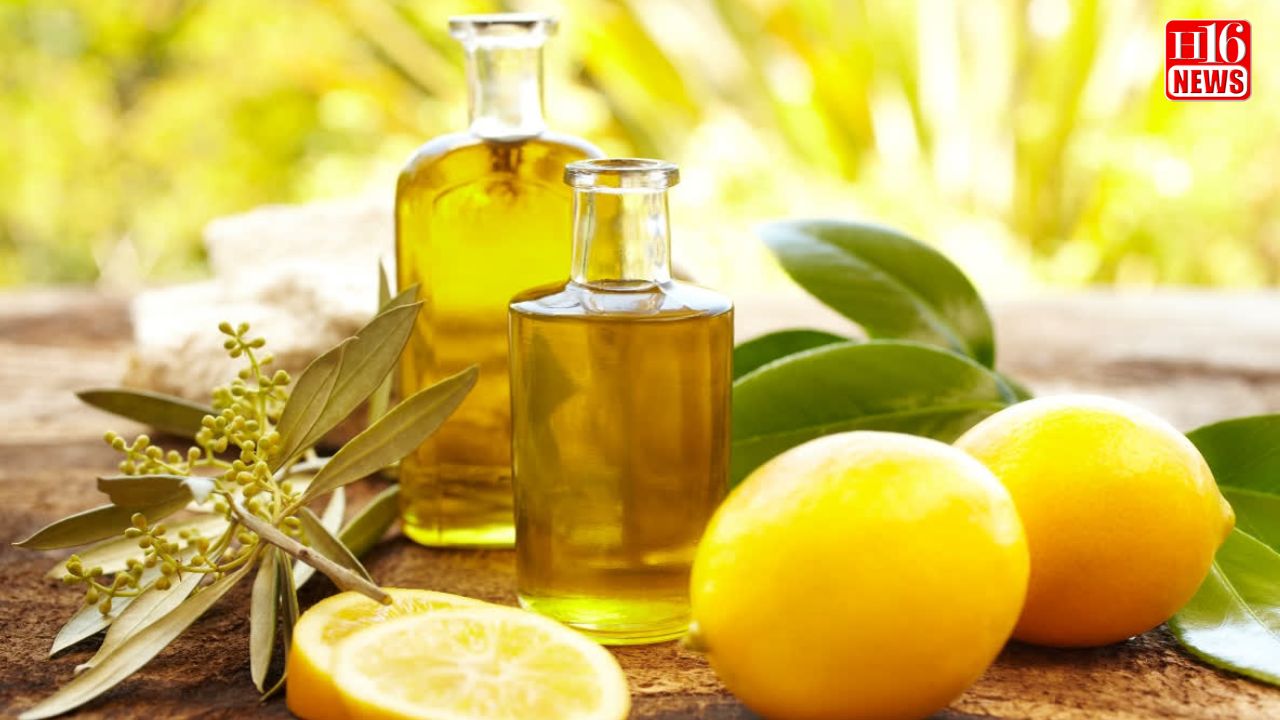 Complete Guide To Use Lemon Oil In Your Home For Healthier And Happier Environment